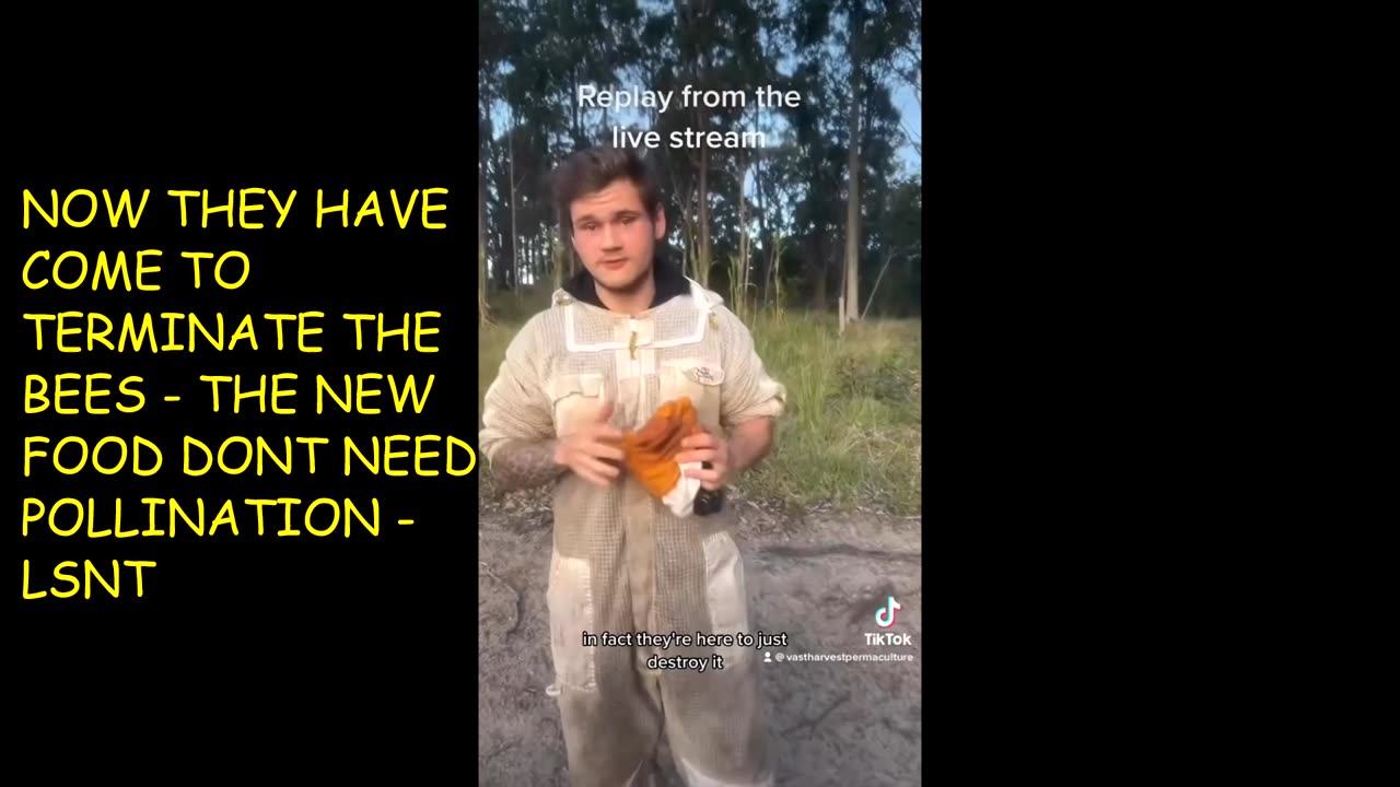 We were warned in 2022- EXTERMINATION OF THE BEES!