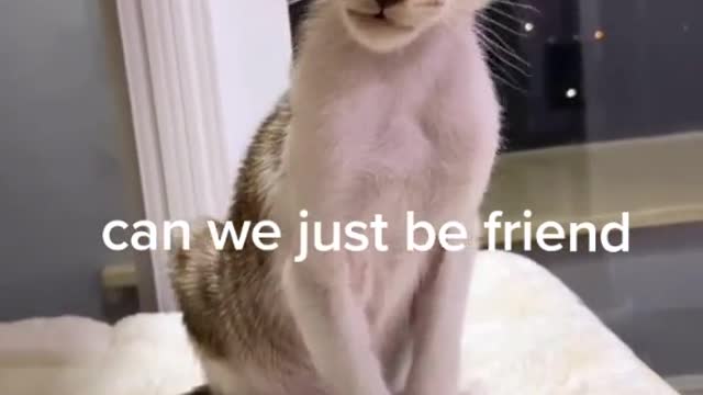 Yes 🥰