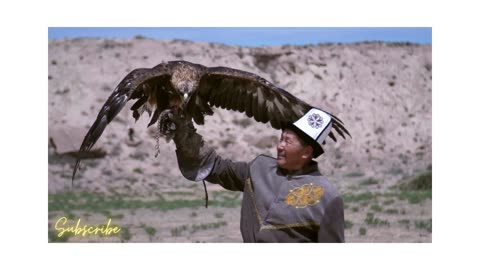 "Breathtaking Eagle Landing on Hunter's Hand Caught on Camera".