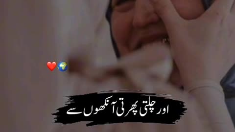 I love my mom