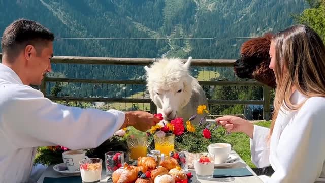 breakfast in the morning😍