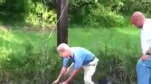 News Break: Gator