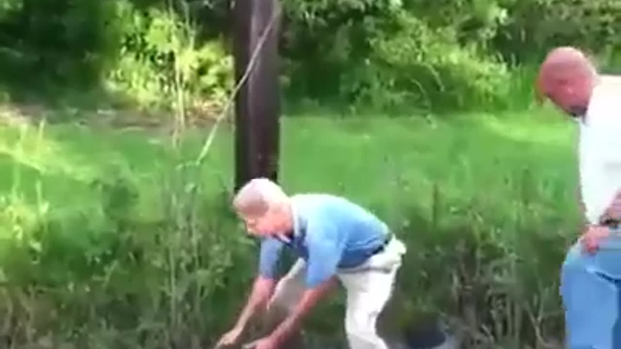News Break: Gator