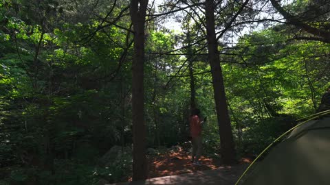 Camping in the outdoor camp in the forest. In case of light rain, enjoy the camping time alone