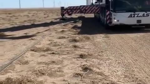 CRC vídeos curiosos