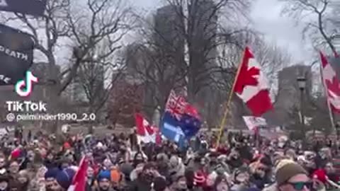 Toronto rally