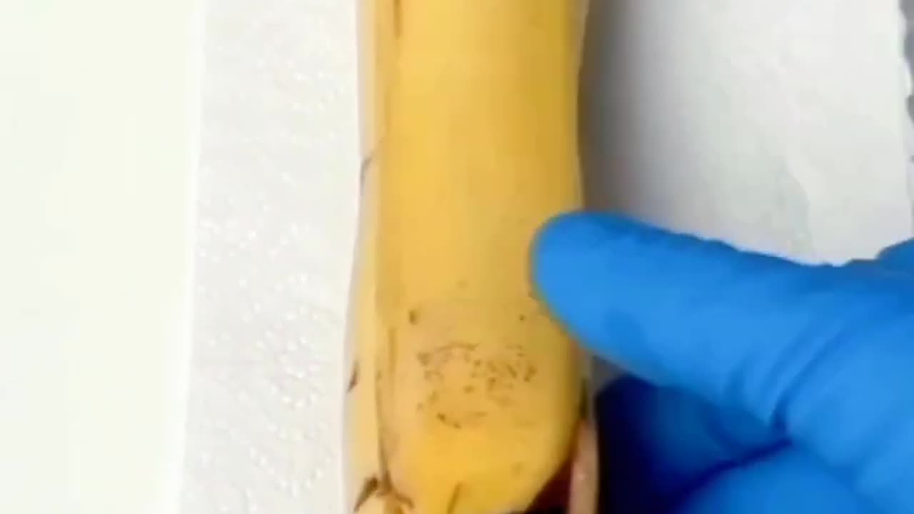 banana gives birth _asmr doctors treatment shorts animation video #asmr #shorts #youtubeshorts