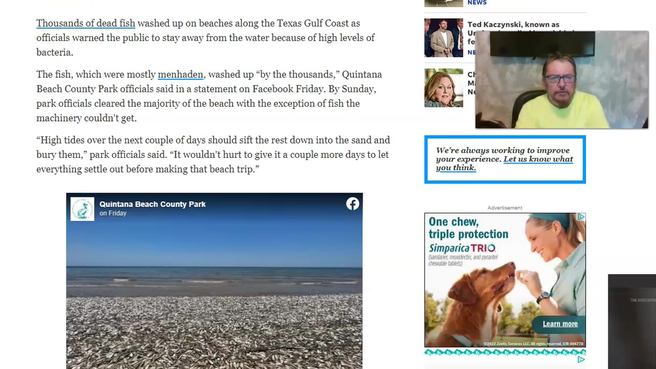 Thousands Of Dead Fish Texas Gulf Coast! Stay out Of The Water!