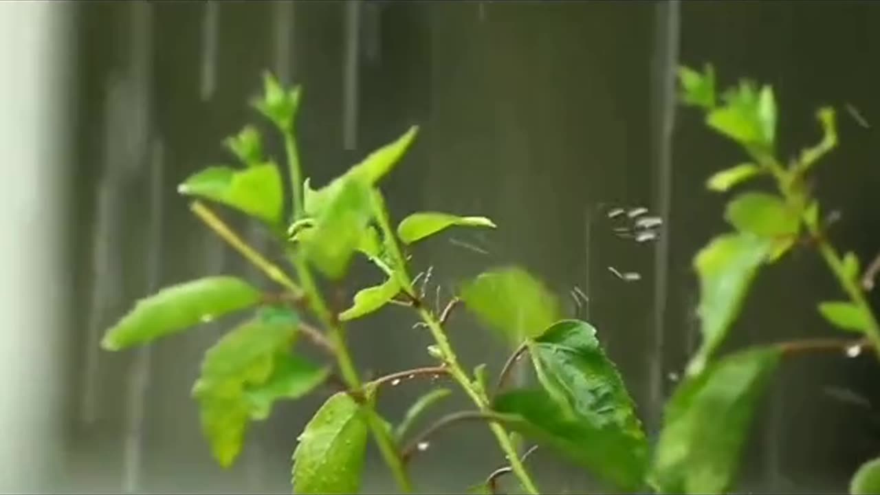 Sound of heavy rain