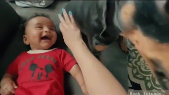 Try Not To Laugh Challenge
