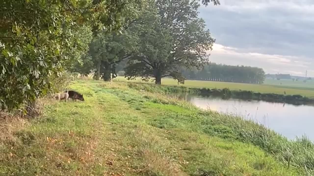 41 S Jakubem na rybách. Pohoda u vody a pár slov o tom, co je to Hamas.