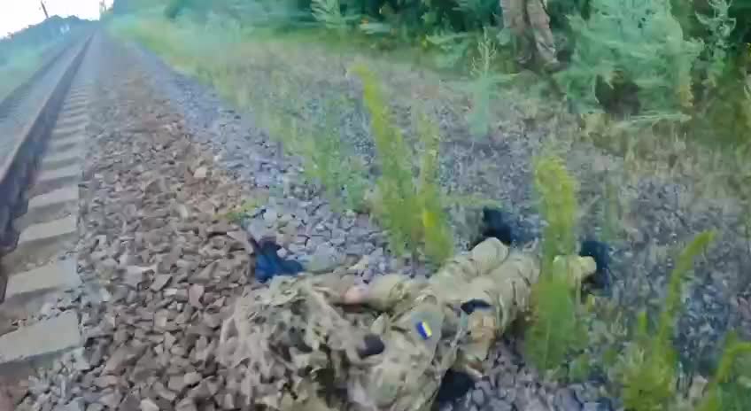 Ukrainian International legion in active