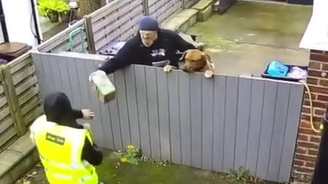 Dramatic scene as owner takes dog to pick up delivery