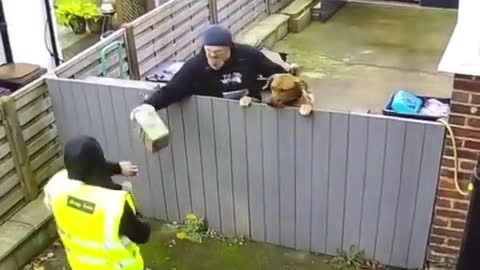 Dramatic scene as owner takes dog to pick up delivery