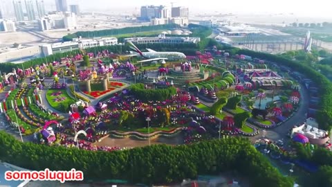 Dubai Miracle Garden