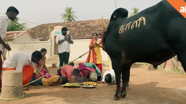 83_Pettaikaali - Trailer Vetri Maaran
