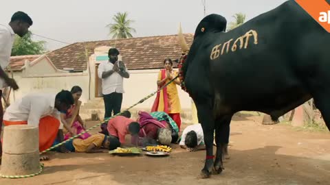 83_Pettaikaali - Trailer Vetri Maaran