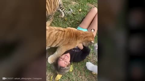 Animals has their OWN SOUL - Reunited With Owners After Years!