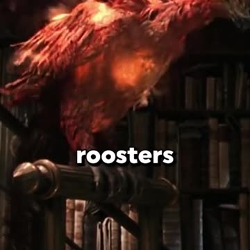 Did You Know In HARRY POTTER AND THE CHAMBER OF SECRETS…