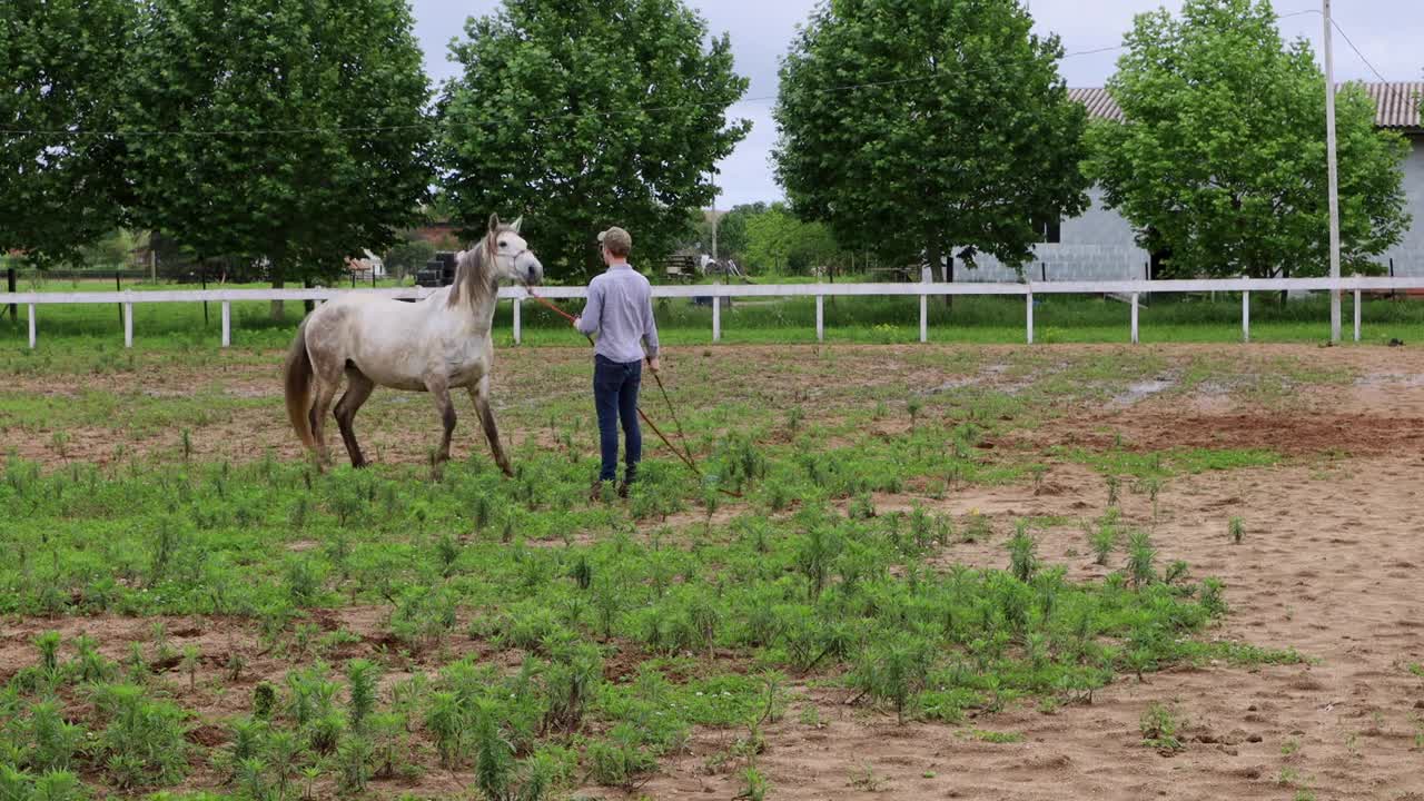 Please Do This With Your Horses! How I Desensitize A Horse To A Plastic Bag (3 Steps)