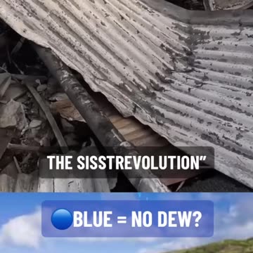 BLUE MAUI SPARED -- What Kind Of Shirt Survives A Fire_