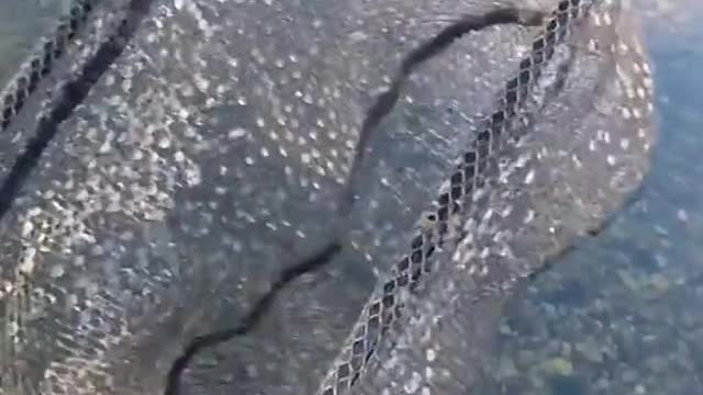 not going to lie, I live fishing in the cold