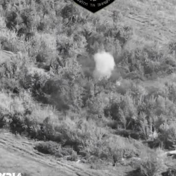 The enemy "Tulip" blooms from two FPV drones.