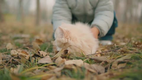 Baby kitten with my boy~