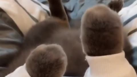 They Look Like Puppets!
