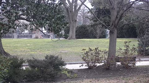 0679USCG00SEDriveExit_2021-01-06_07h53min20s733ms.mp4