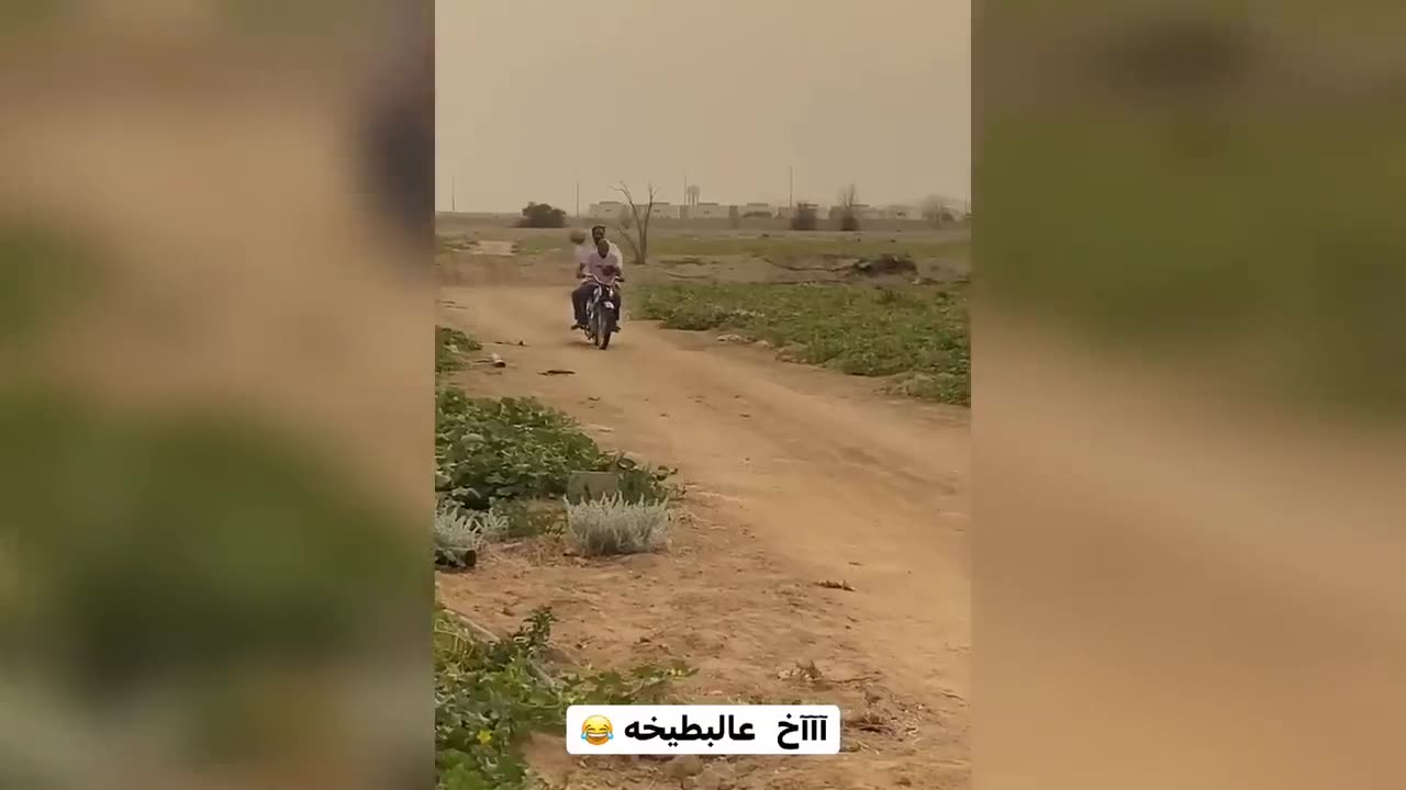 Arabic Funny videos