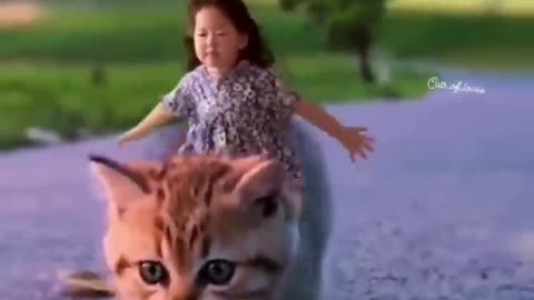Kucing dan Kids bermesraan