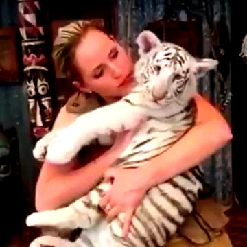 girl love tiger