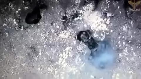 Creepy footage from the front line: a wounded soldier blew himself up with a grenade