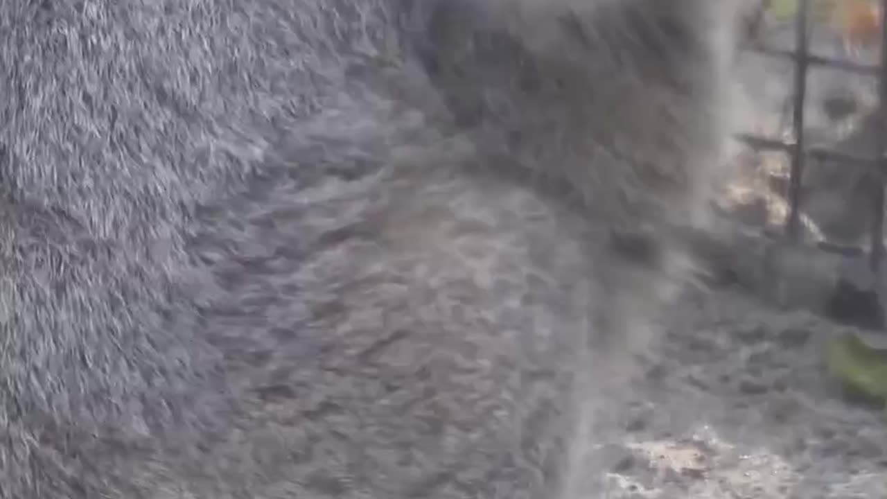 Pallas’ cat new additions