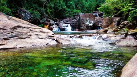 Relaxing Music | Sleeping, Meditation, Stress Relief | [1319] ⭐️