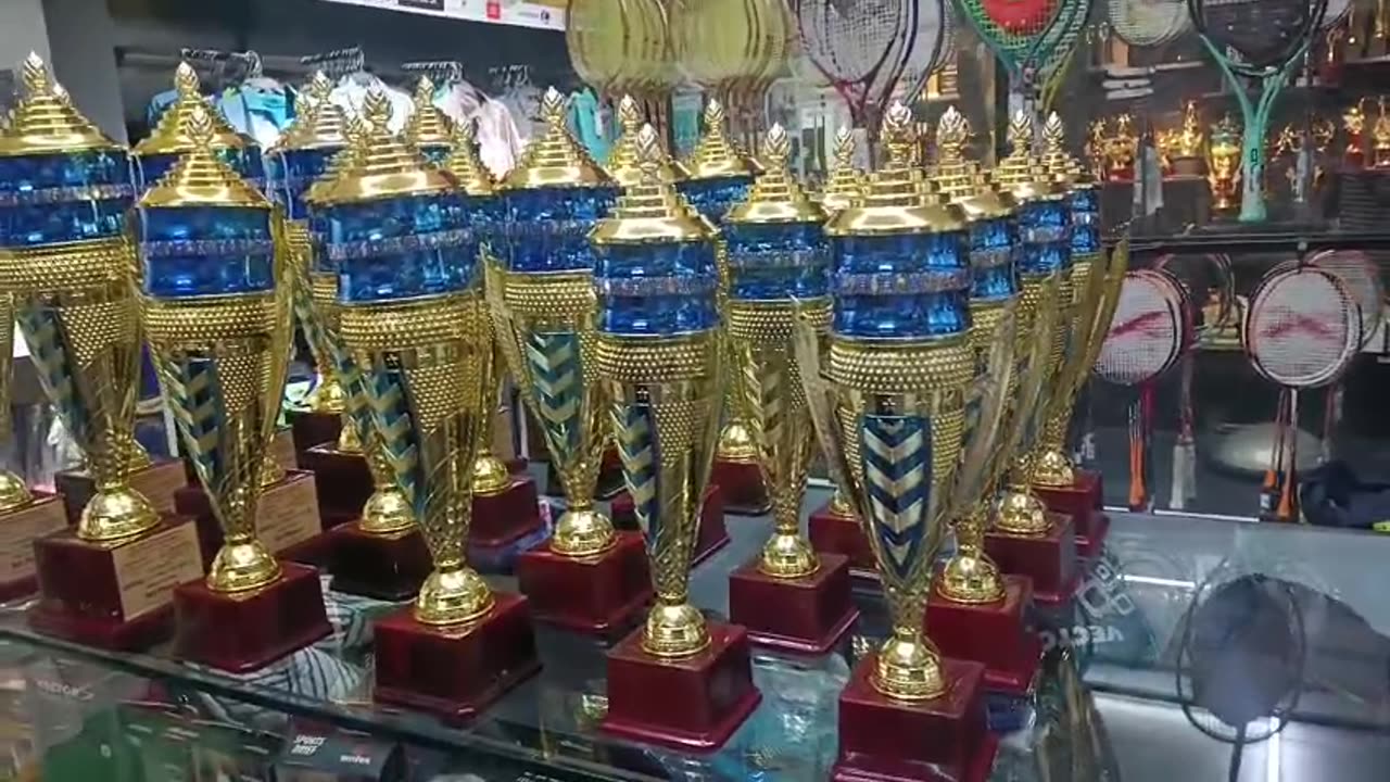 Chess Cups & Prizes