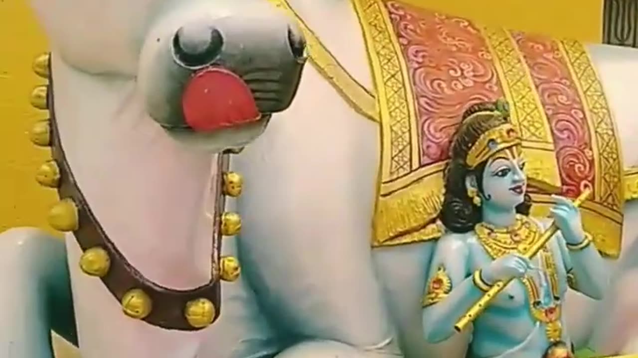 Lord Krishna con la sua mucca Kamadhenu 🐄 DOCUMENTARIO La mucca celeste madre di tutte le MUCCHE.è una bovina divina descritta nell'induismo come la madre di tutte le MUCCHE.é la mucca celeste a Goloka di Lord Vishnu o Krishna nell'induismo