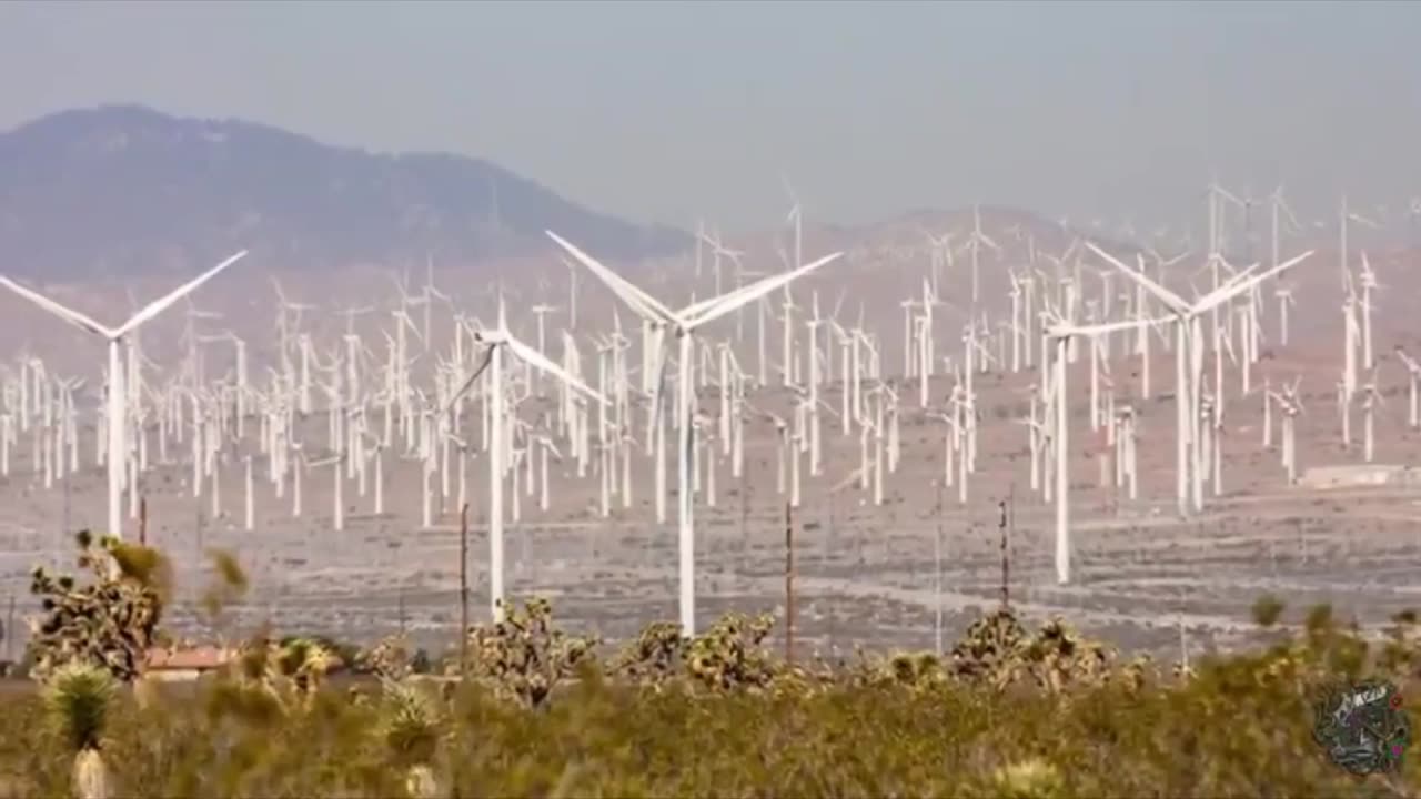 THIS IS INSANE. Windfarms are Turbines, Not Windmills. They Run on Coal Power and Don't Even Work