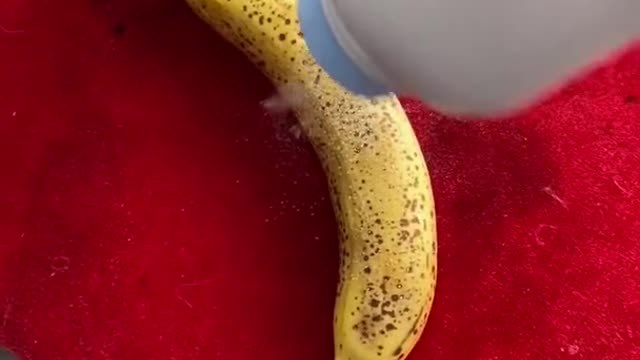 Worlds Crazy Experiment!!