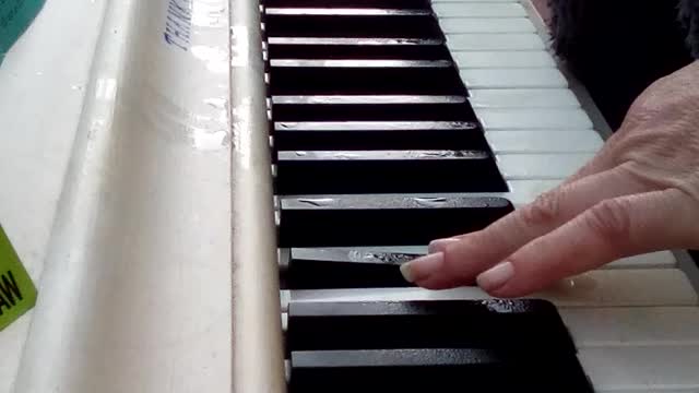 Wet keys on sidewalk