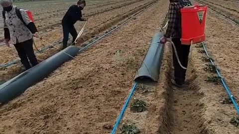 CRC vídeos curiosos