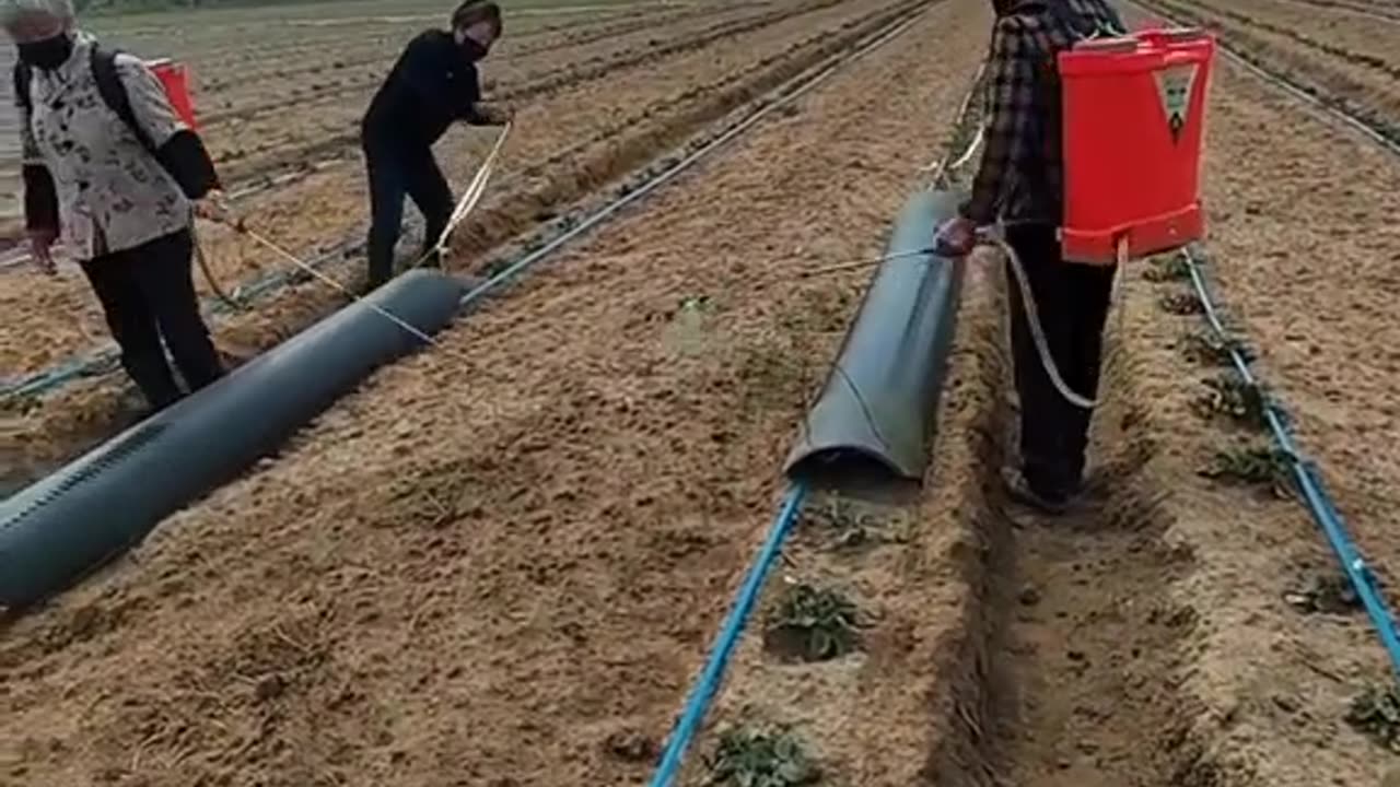 CRC vídeos curiosos