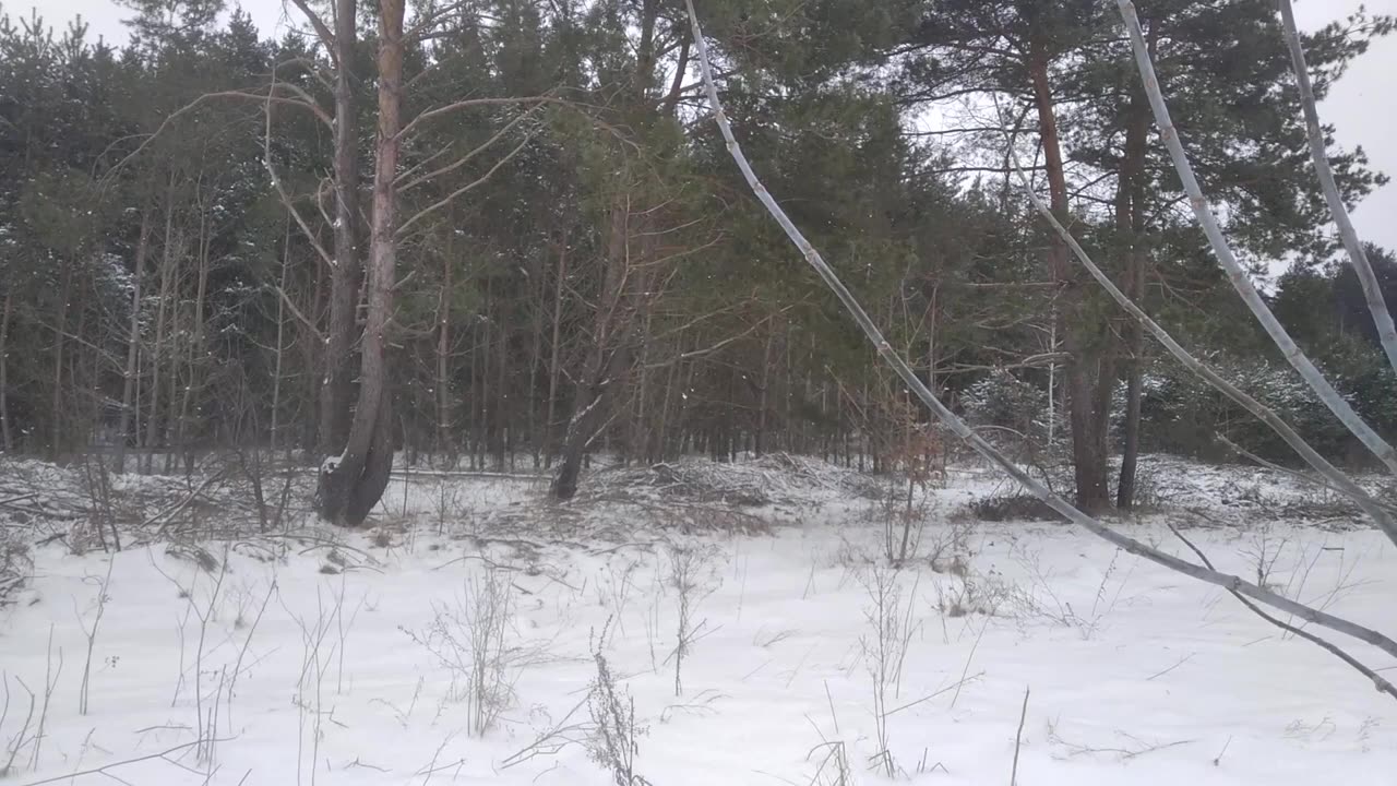 Hu hu ha nasza zima zła
