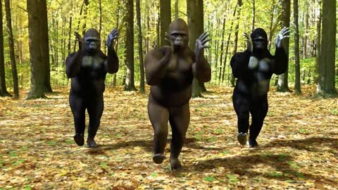 Ego - The Crazy Things We Do Official Music Video (Dancing Gorillas)