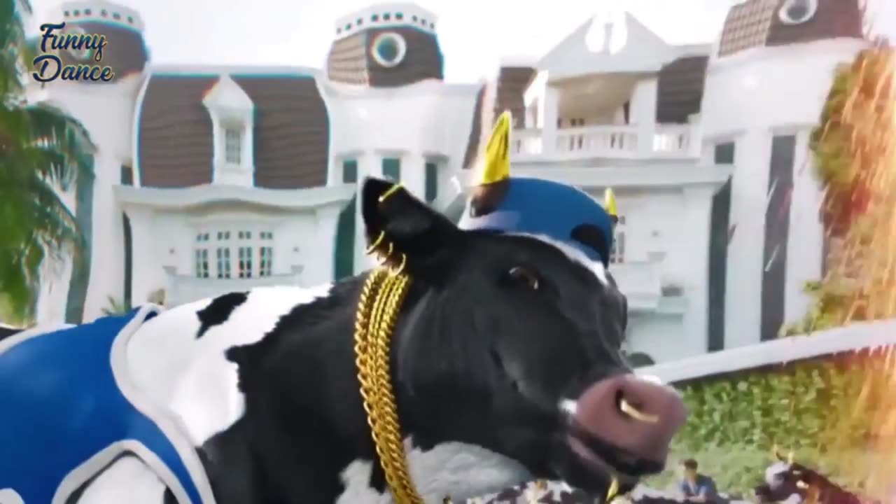 Cow Dance Funny Video🤣