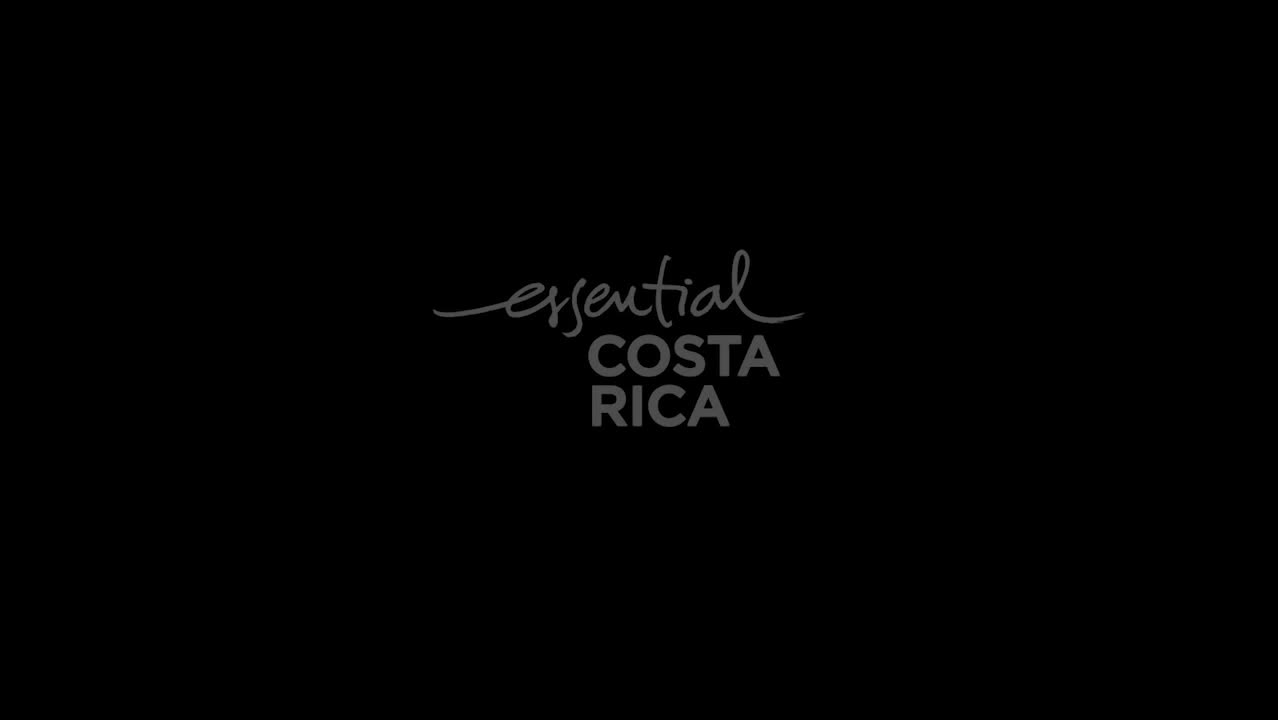 Save the Americans - Costa Rican Animals for the Overworked