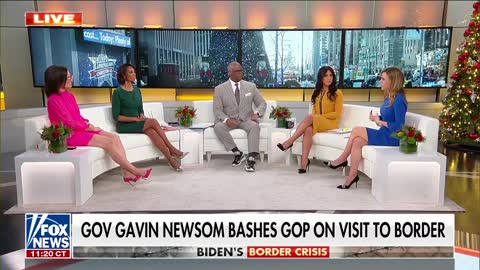 Gavin Newsom torched over border visit: 'Shame on all of them'