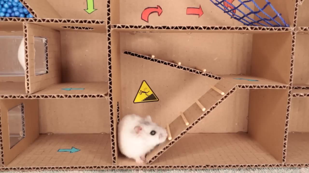 Hamster pets but with Traps in maze