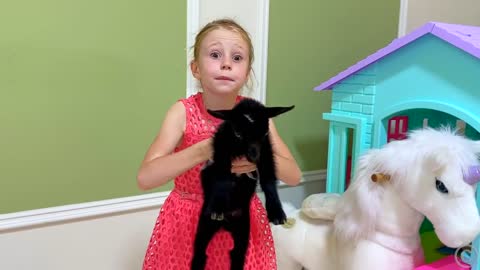 Nastya chooses a new pet